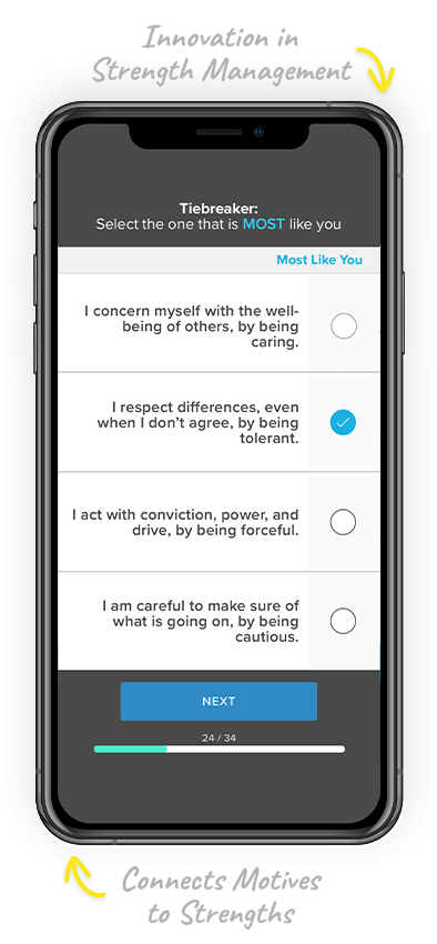 Core Strengths SDI 2.0 assessment connects your motives and strengths to help you become more self aware