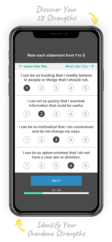 Core Strengths SDI 2.0 assessment lists 28 strengths from most often used to least used, while also listing your top overdone strengths