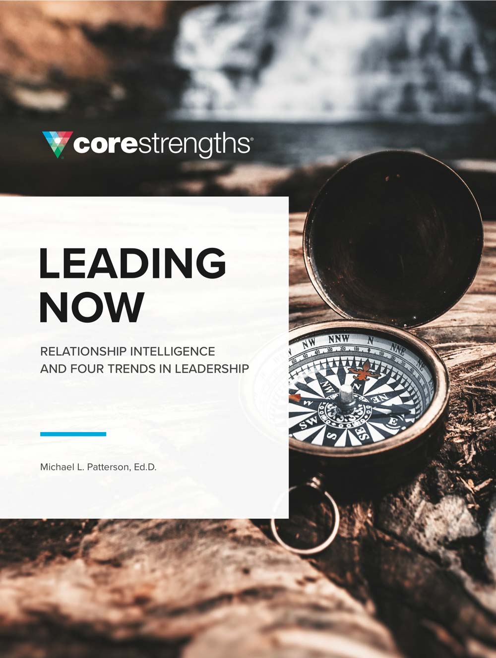 Leading now book cover, a guide to core strengths' leadership development solutions
