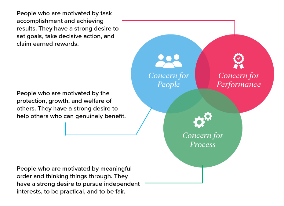 Concern for people: People who are motivated by the protection, growth, and welfare of others. They have a strong desire to help others who can genuinely benefit.   

Concern for process: People who are motivated by meaningful order and thinking things through. They have a strong desire to pursue independent interests, to be practical, and to be fair. 

Concern for performance: People who are motivated by task accomplishment and achieving results. They have a strong desire to set goals, take decisive action, and claim earned rewards. 
